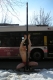 Damen bus