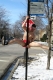 Spread Eagle