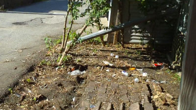 08.25.2010.13.50backyard in ruins.png