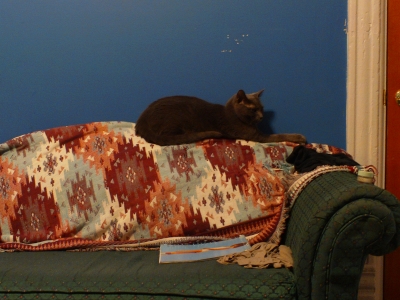 Comfy couch