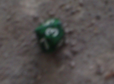 first roll (garage).jpg