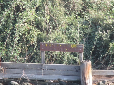 Wildlife Refuge Birds Only