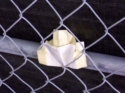 no show placement.JPG