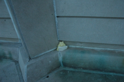 pandering placement.JPG