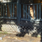 08.25.2010.13.50fence.png
