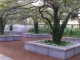 art institute garden