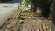08.25.2010.13.50backyard in ruins.png