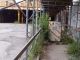 09.06.2010.20.08FILE0209.JPG