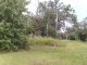 09.06.2010.21.08FILE0213.JPG