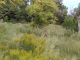 09.07.2010.10.01FILE0216.JPG
