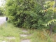 09.07.2010.10.01FILE0217.JPG