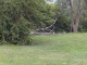 09.07.2010.10.05FILE0219.JPG