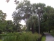 09.07.2010.10.44FILE0248.JPG