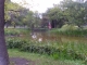 09.07.2010.10.51FILE0255.JPG