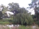 FILE0244.JPG