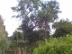 FILE0245.JPG