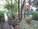 pathways