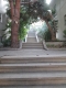 into the light