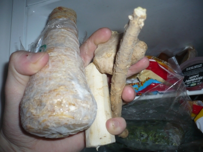 P1050695.JPG