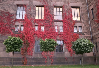 Colours