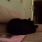 sleepy image