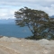 Tierra del Fuego, Chile.