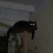 a model