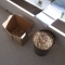 R1061458.JPG