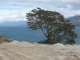 Tierra del Fuego, Chile.