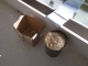 R1061458.JPG