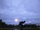 Skating in the moonlight