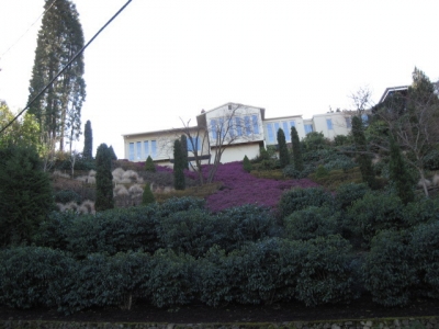 Pretty Purple