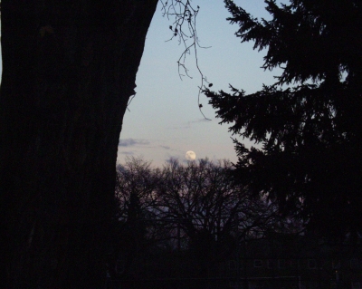 The Moon at large...