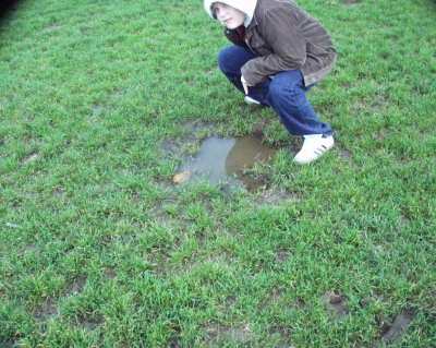 I discover a little oasis.