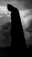 I am Batman
