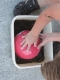 The Ball