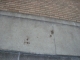 Foot Prints