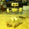 Fun With Food by repici Fun With Food by repici