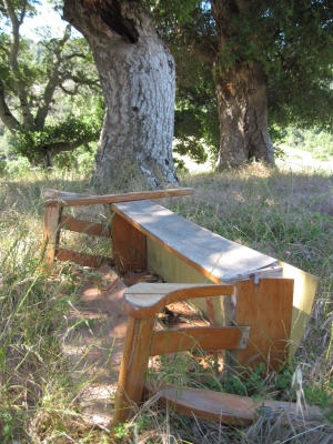 defunct bench defunct bench