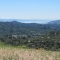 View to southeast View to southeast