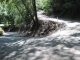 Hairpin