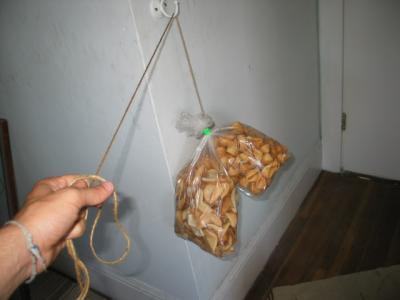 IMG_4266.JPG IMG_4266.JPG