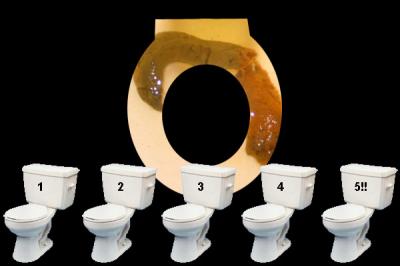morningblueorange.jpg morningblueorange.jpg