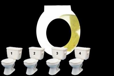 greenpoo.jpg greenpoo.jpg