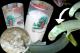 breakfast.jpg