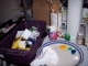 03supplies.jpg