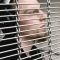 fenced_by_sees_two_ways.jpg