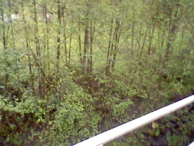 HNI_0006.JPG
