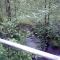 HNI_0005.JPG