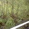 HNI_0006.JPG